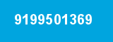 9199501369