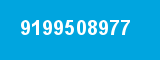 9199508977