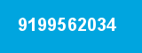 9199562034