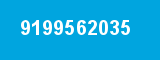 9199562035