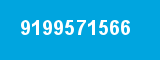9199571566
