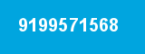 9199571568