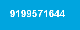 9199571644