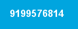 9199576814