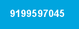 9199597045