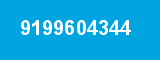 9199604344 9199604344