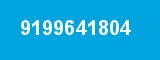 9199641804