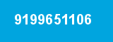 9199651106
