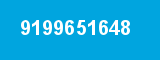 9199651648
