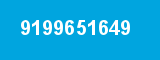 9199651649 9199651649