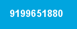 9199651880