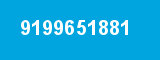 9199651881