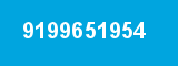 9199651954