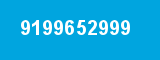 9199652999
