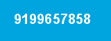 9199657858 9199657858