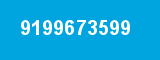 9199673599