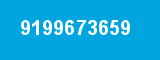 9199673659