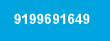 9199691649