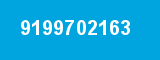 9199702163
