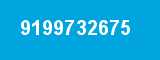 9199732675