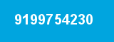 9199754230
