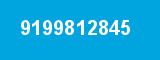 9199812845