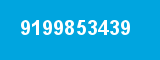 9199853439