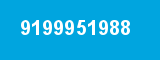 9199951988 9199951988