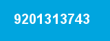 9201313743 9201313743