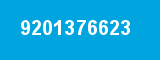 9201376623 9201376623