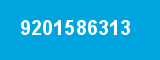 9201586313