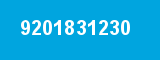 9201831230