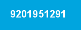 9201951291