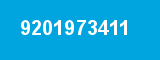 9201973411