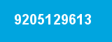 9205129613