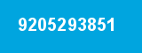 9205293851
