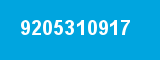 9205310917