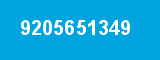 9205651349