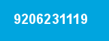 9206231119