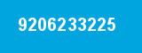 9206233225