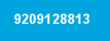 9209128813