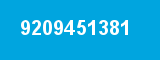 9209451381