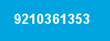 9210361353