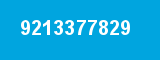 9213377829
