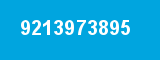 9213973895
