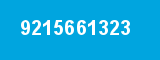 9215661323
