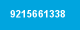 9215661338