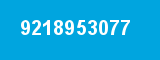 9218953077
