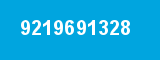 9219691328