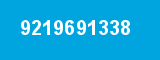 9219691338